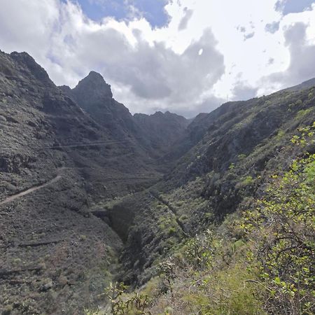 Loft Cerca Del Mar Tenerife بونتا ديل هيدالغو المظهر الخارجي الصورة