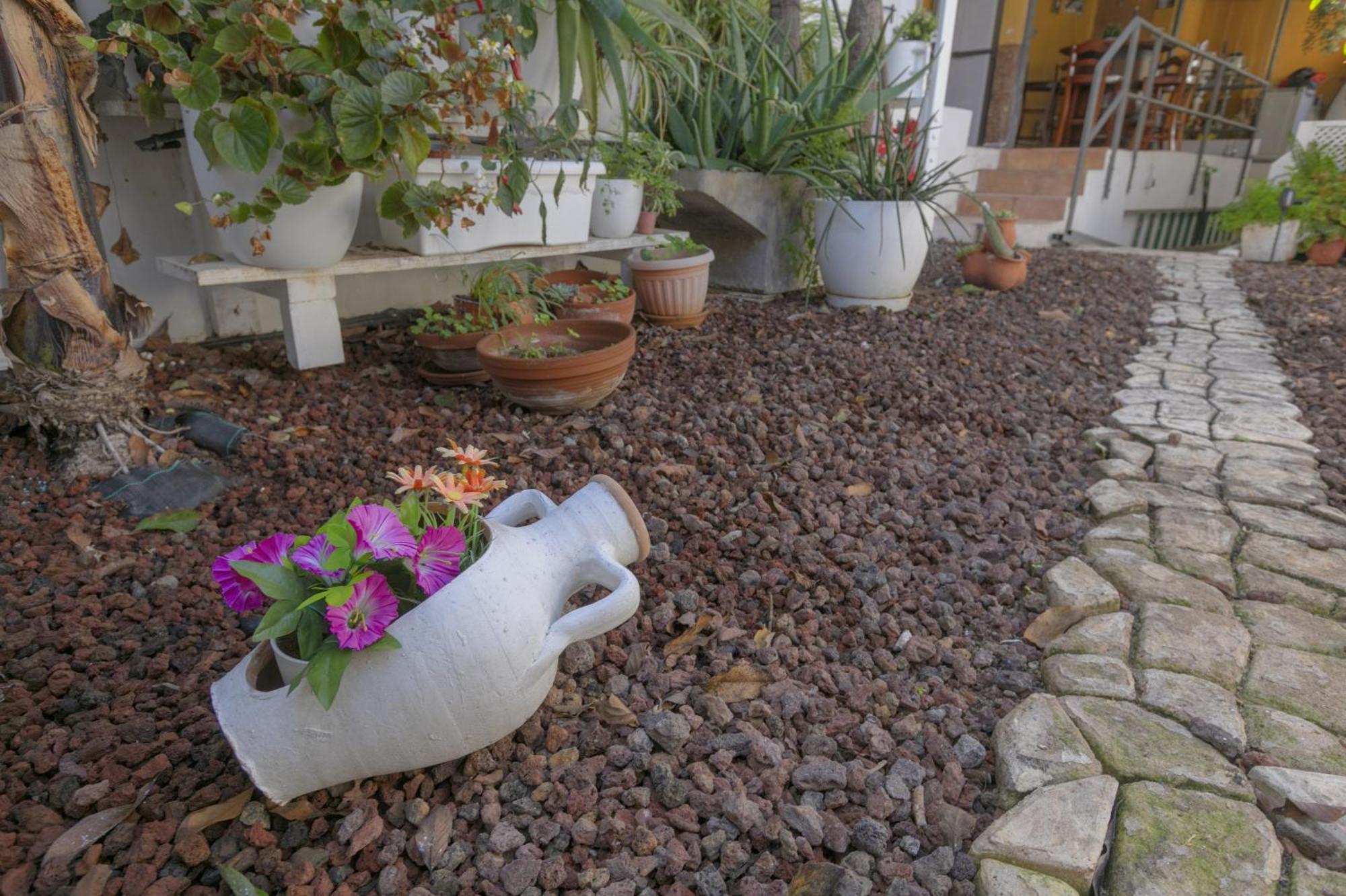 Loft Cerca Del Mar Tenerife بونتا ديل هيدالغو المظهر الخارجي الصورة